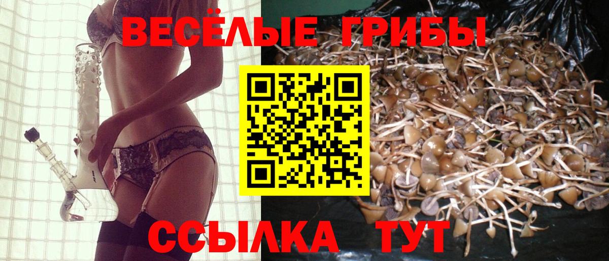 Камышлов  Галлюциногенные грибы Magic Shrooms  Вход с VPN 
